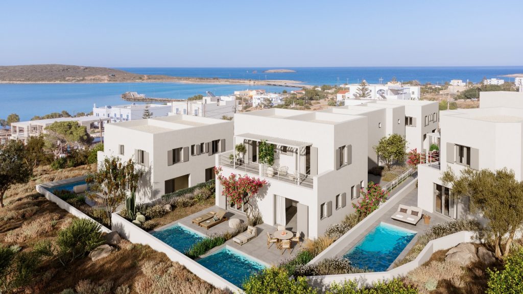 WhatsApp Image 2024-08-14 at 11.30.47